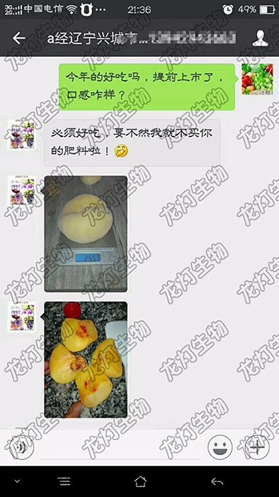 辽宁兴城徐先生