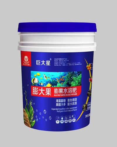 膨大果