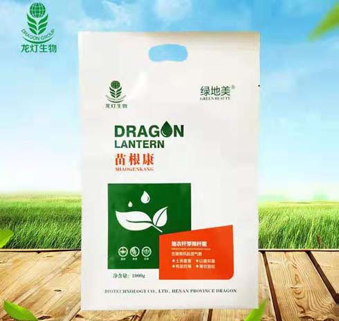 苗根康治根腐病